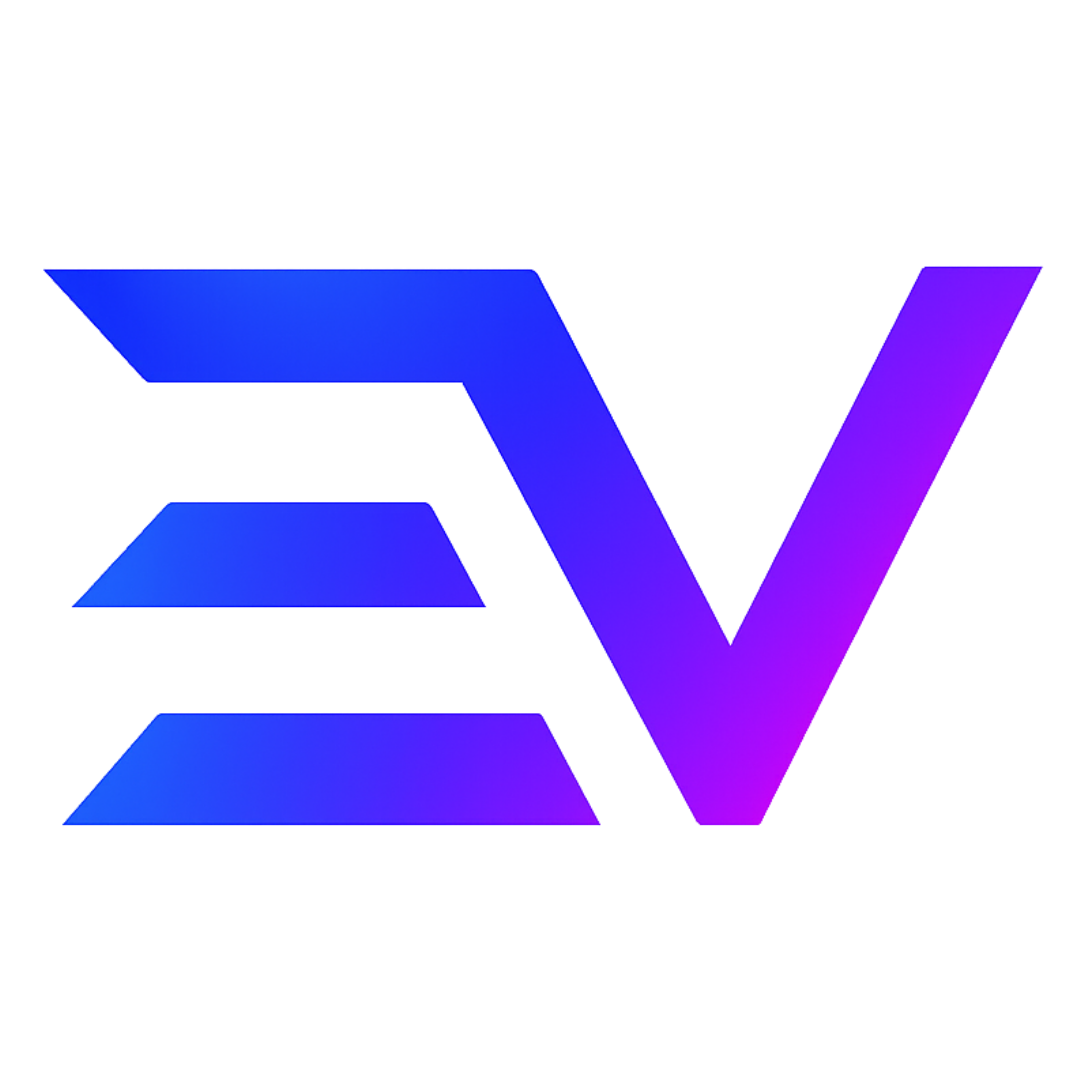 EVO TEAM
